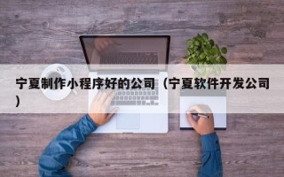 临清宁夏制作小程序好的公司（宁夏软件开发公司）